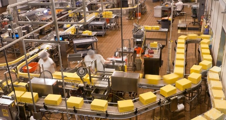 Gıda Paketleme Çözümleri